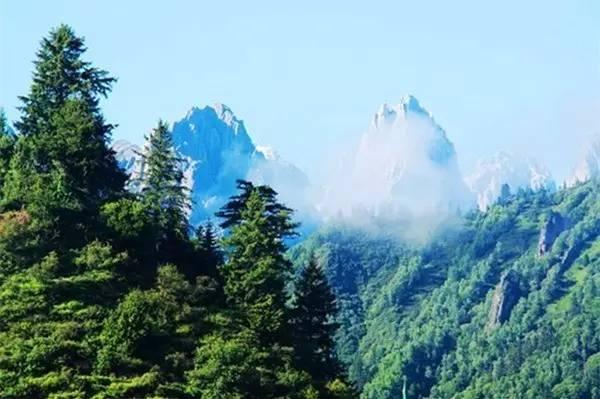 今年夏天,陪我走一趟甘南!