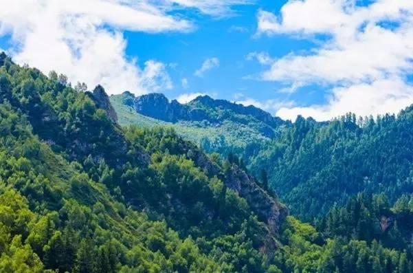 今年夏天,陪我走一趟甘南!