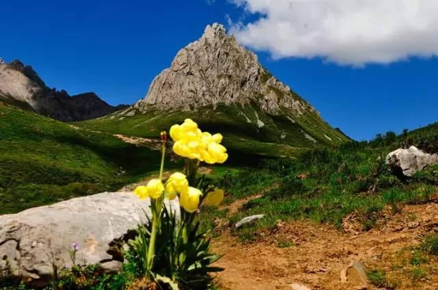 今年夏天,陪我走一趟甘南!