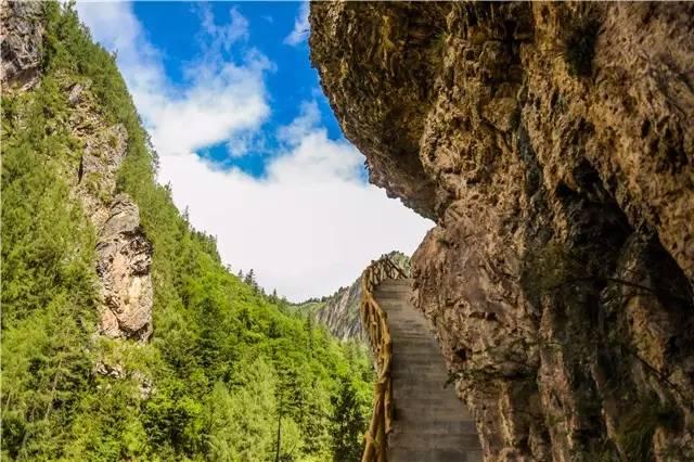 今年夏天,陪我走一趟甘南!