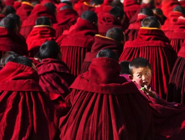 今年夏天,陪我走一趟甘南!