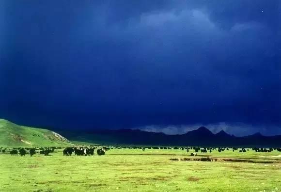 今年夏天,陪我走一趟甘南!