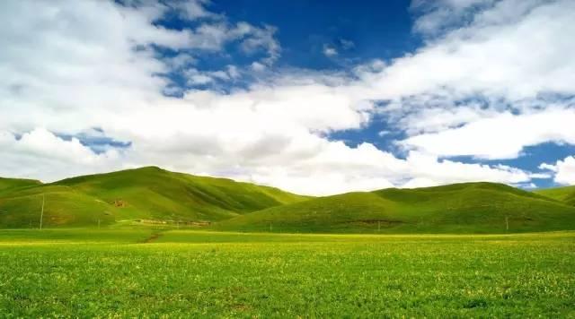 今年夏天,陪我走一趟甘南!