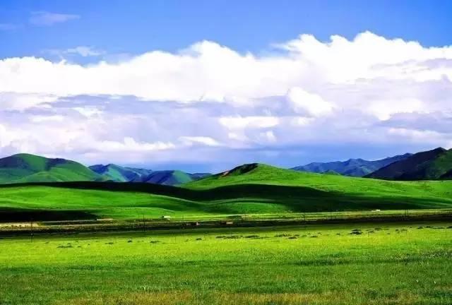 今年夏天,陪我走一趟甘南!