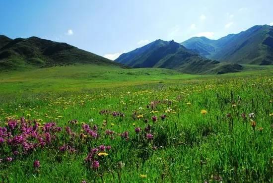 今年夏天,陪我走一趟甘南!
