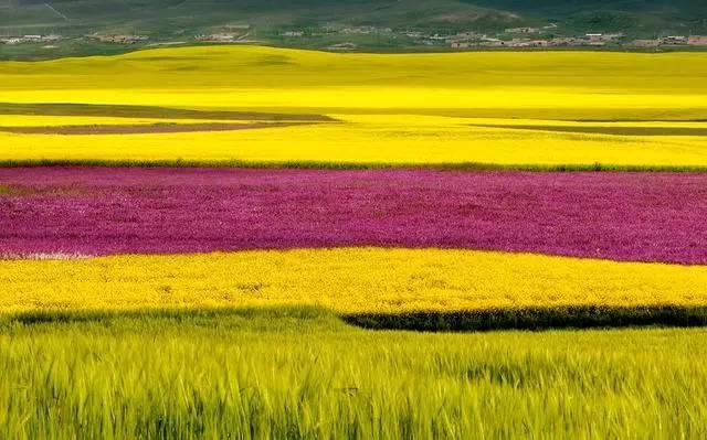 今年夏天,陪我走一趟甘南!