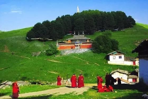 今年夏天,陪我走一趟甘南!