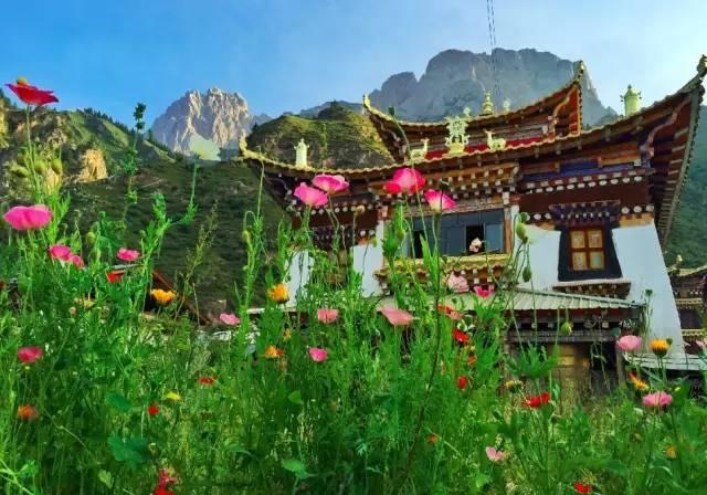 今年夏天,陪我走一趟甘南!