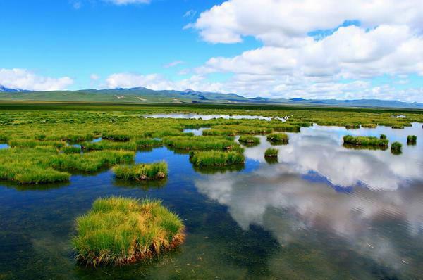 今年夏天,陪我走一趟甘南!