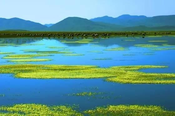 今年夏天,陪我走一趟甘南!