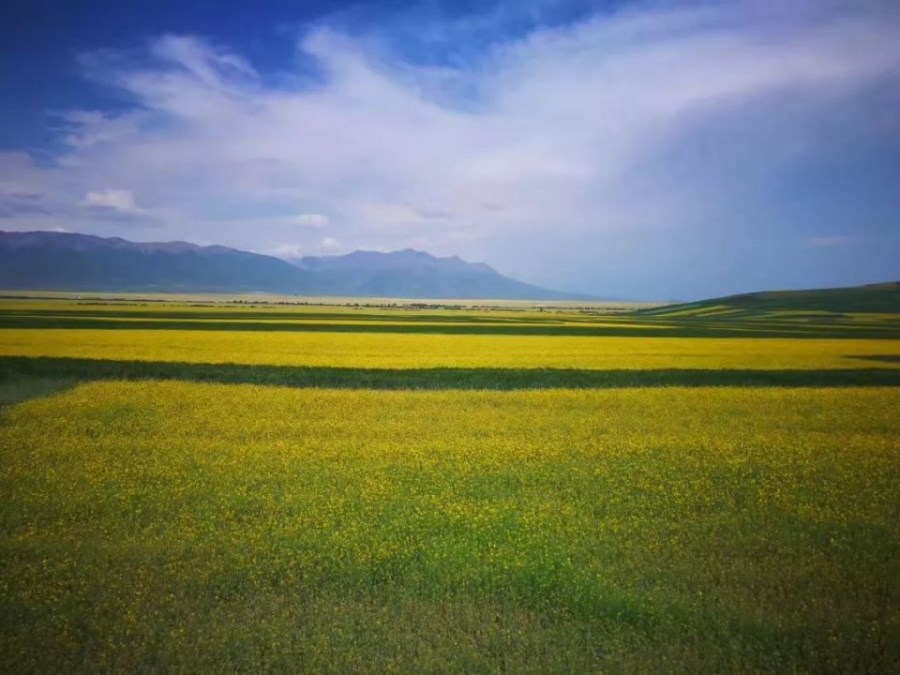 甘青大环线,几乎囊括了自然界所有的奇观美景