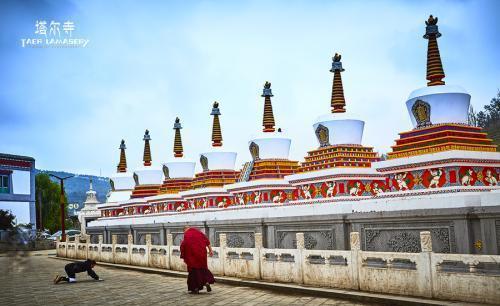高原明珠—青海湖,来着聆听心灵的声音!
