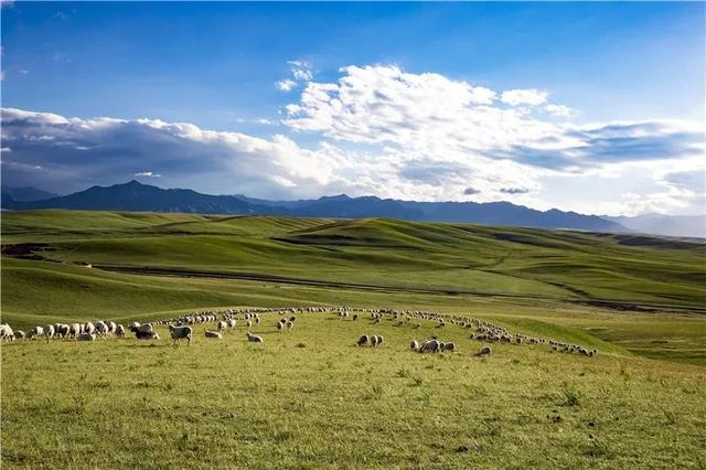 甘肃竟然被评为亚洲最佳旅游地!快来看看它的神奇之处吧!