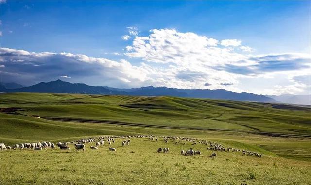 甘肃竟然被评为亚洲最佳旅游地!快来看看它的神奇之处吧!