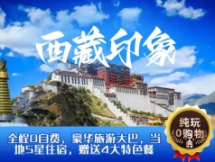 【索松印象】兰州/西宁、拉萨、雅鲁藏布江大峡谷、巴松措、羊卓雍措、布达拉宫、八廓街双卧9日游